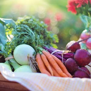 Melrose farmers market